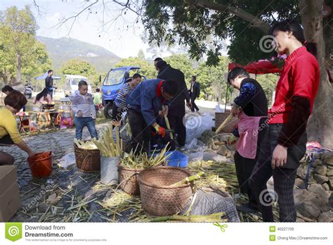 漳州哪個農場好玩，我們可以聊聊農業與生態旅游的美好結合